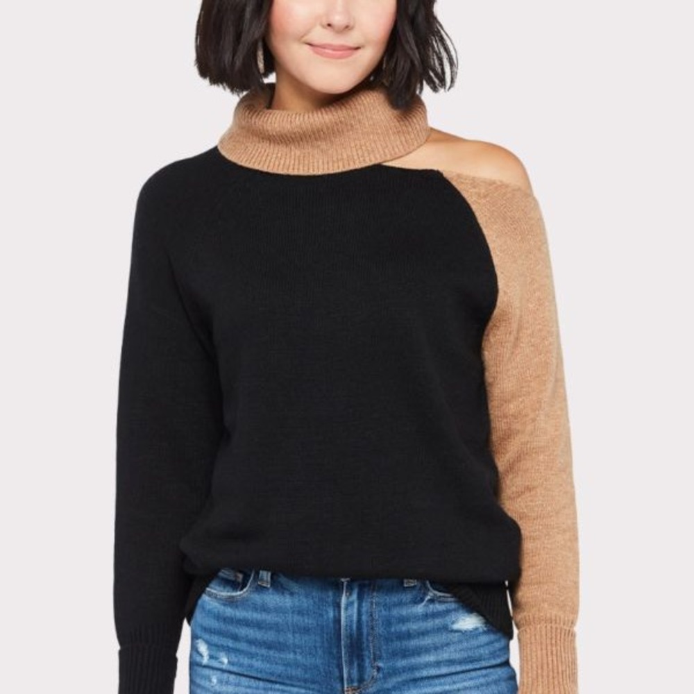 Evereve Jamison Cutout Turtleneck sweater
